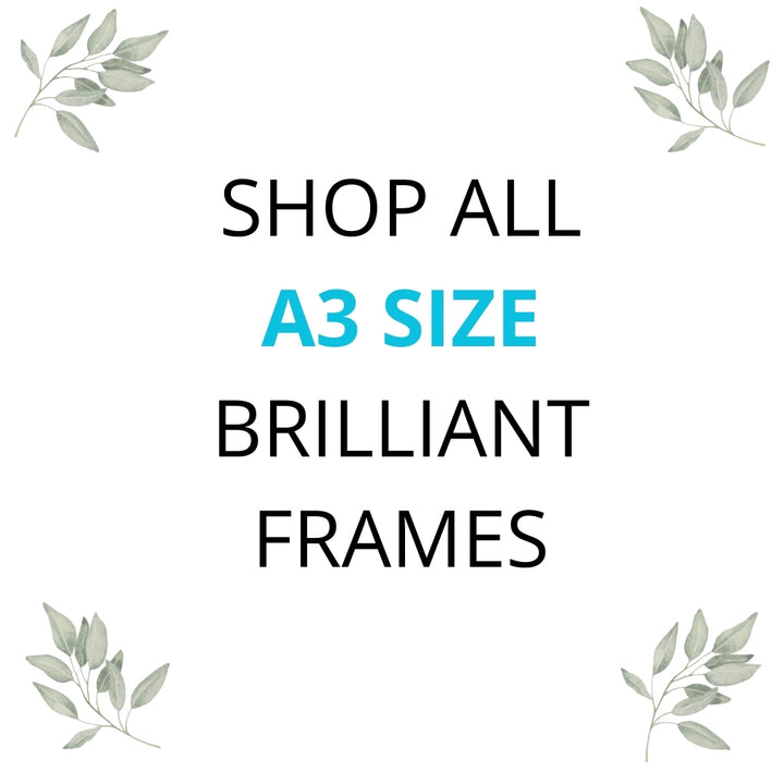 A3 Size Brilliant Frames Brilliant Frames & Co