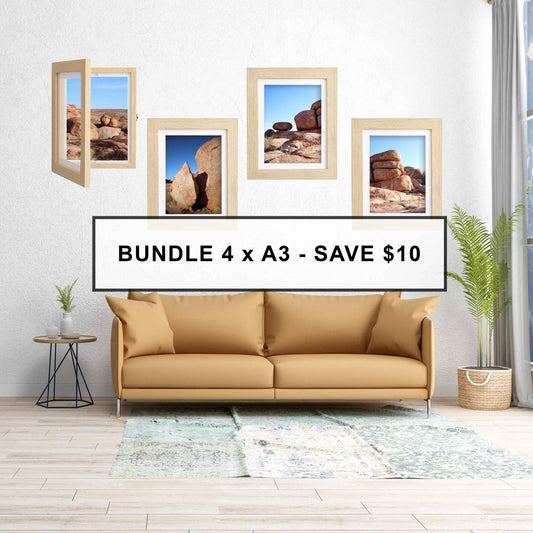 SAVE $10 -  4 x A3 Brilliant Frames